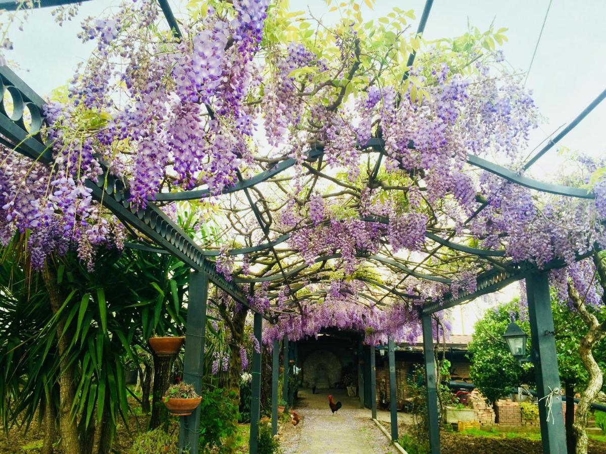 B&B San Paolo Campagna Εξωτερικό φωτογραφία